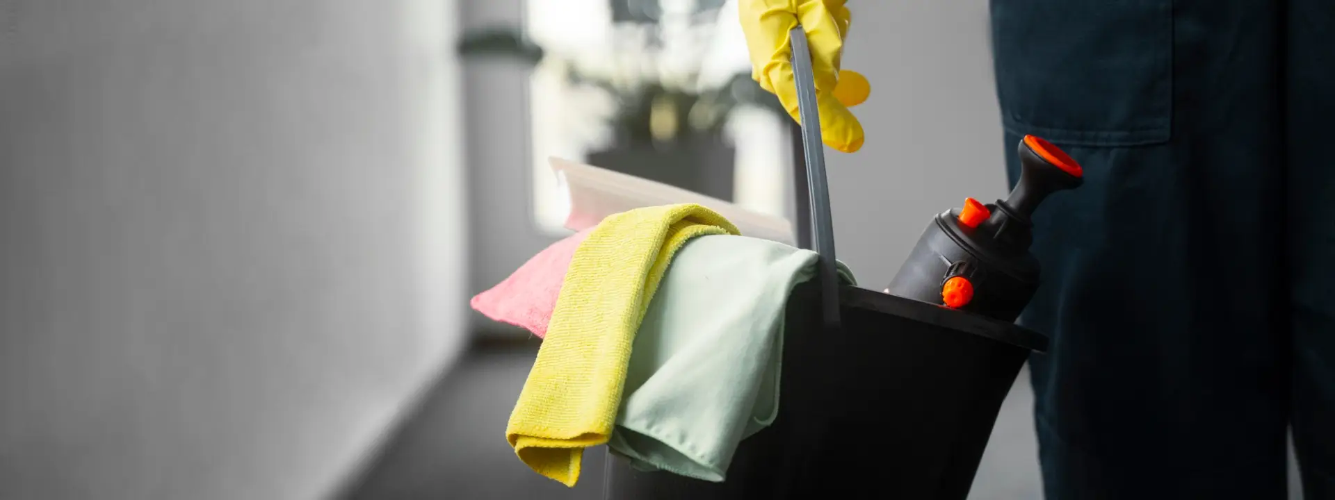 Local Cleaners Near You