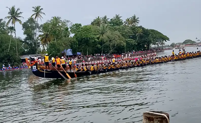 Nocturnal Houseboat Adventure