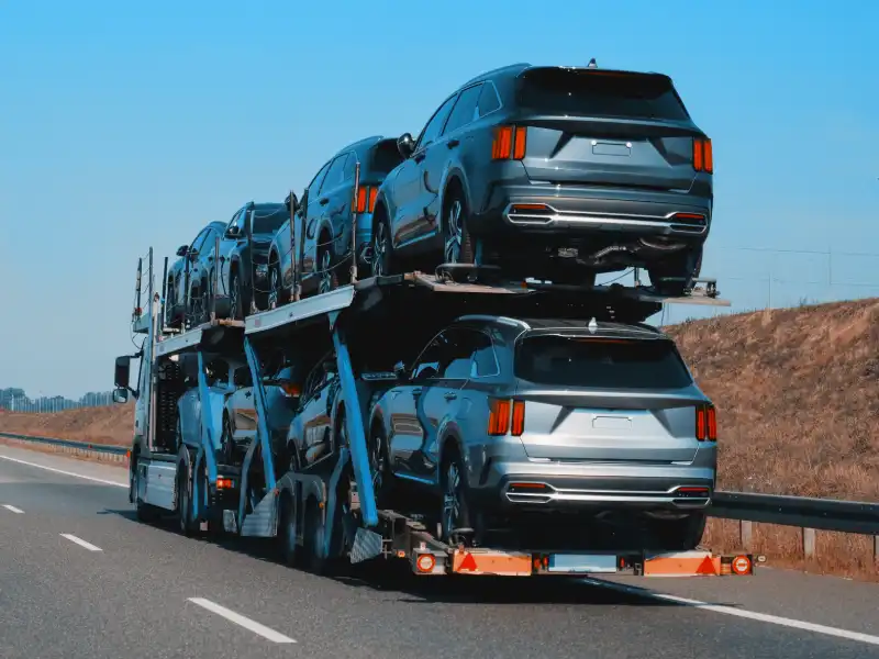  Our Services Include